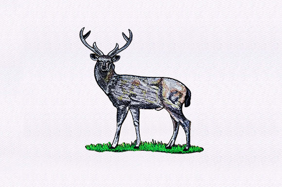 White Tailed Deer Design Review for Seasonal Embroidery
